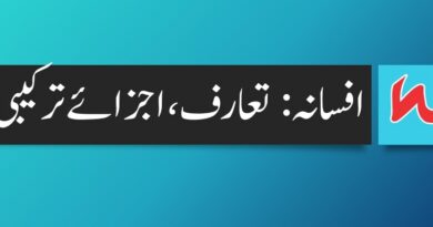 introduction of Afsana